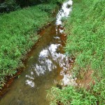 The "man-made" stream strives en naturelle 